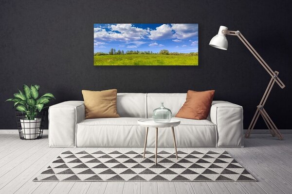 Obraz Canvas Lúka tráva nebo krajina 125x50 cm