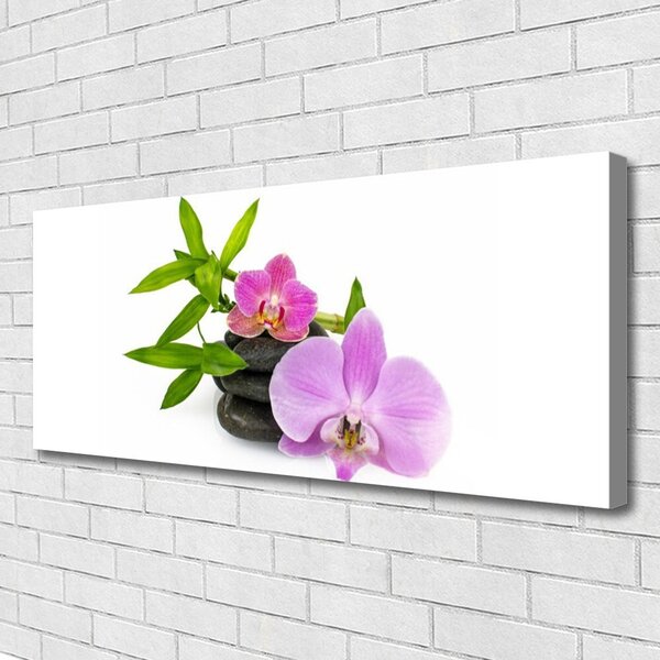 Obraz Canvas Kvet kamene rastlina 125x50 cm
