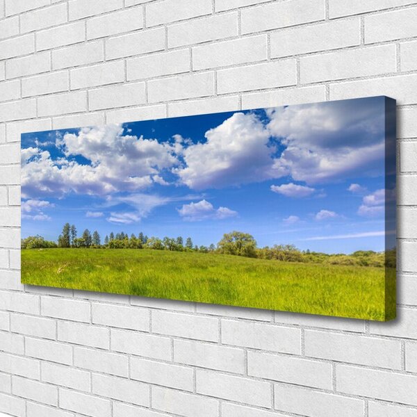 Obraz Canvas Lúka tráva nebo krajina 125x50 cm