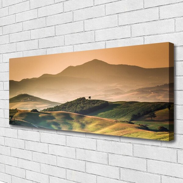 Obraz Canvas Hory pole príroda 125x50 cm