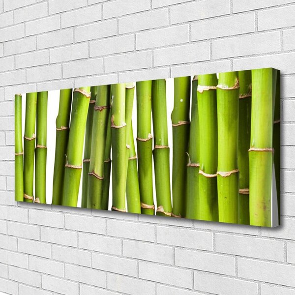 Obraz Canvas Bambus rastlina príroda 125x50 cm