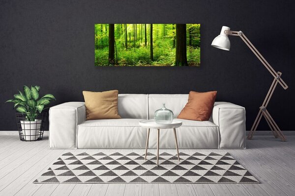Obraz Canvas Les zeleň stromy príroda 125x50 cm