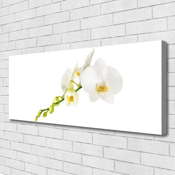 Obraz Canvas Kvety rastlina príroda 125x50 cm