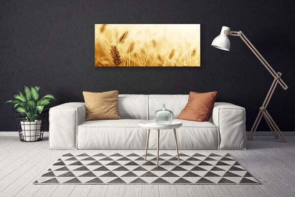 Obraz Canvas Pšenica rastlina príroda 125x50 cm