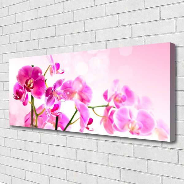 Obraz Canvas Kvety rastlina príroda 125x50 cm