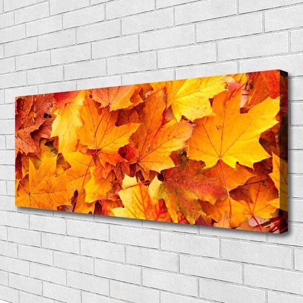 Obraz Canvas Listy príroda rastlina 125x50 cm