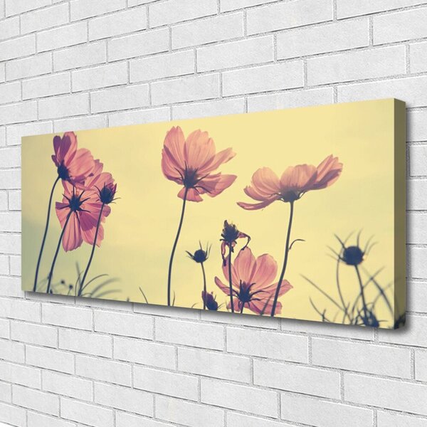 Obraz Canvas Kvety rastlina príroda 125x50 cm