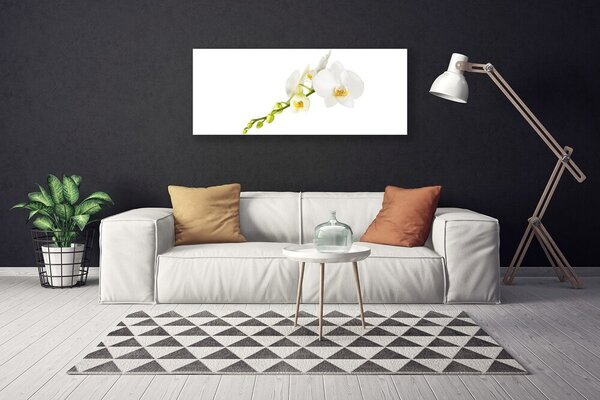 Obraz Canvas Kvety rastlina príroda 125x50 cm