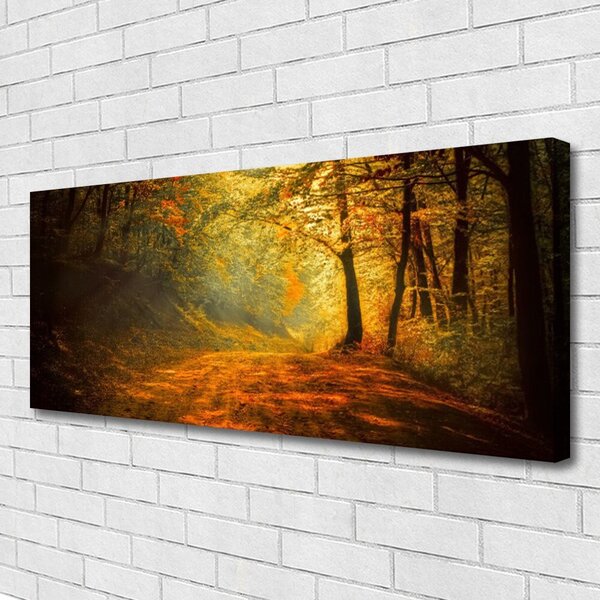 Obraz Canvas Les cestička stromy príroda 125x50 cm