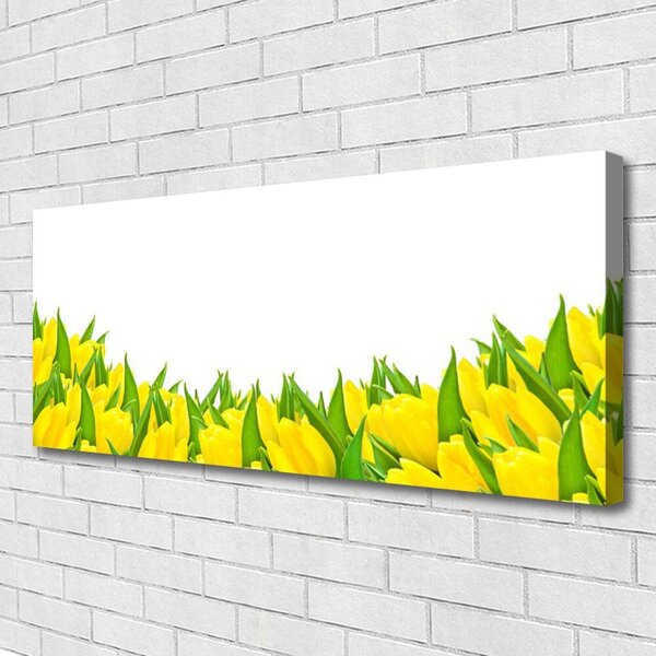 Obraz Canvas Kvety príroda tulipány 125x50 cm