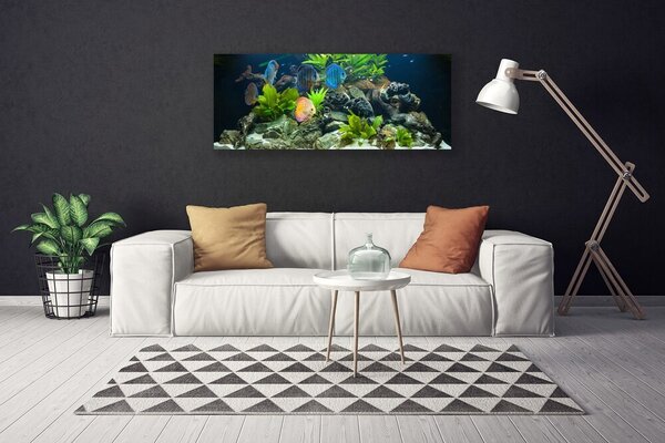 Obraz Canvas Ryba kamene listy príroda 125x50 cm