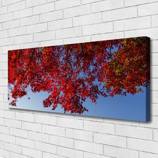 Obraz Canvas Strom listy vetvy príroda 125x50 cm