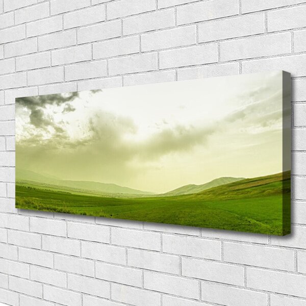 Obraz Canvas Lúka príroda zelený výhľad 125x50 cm