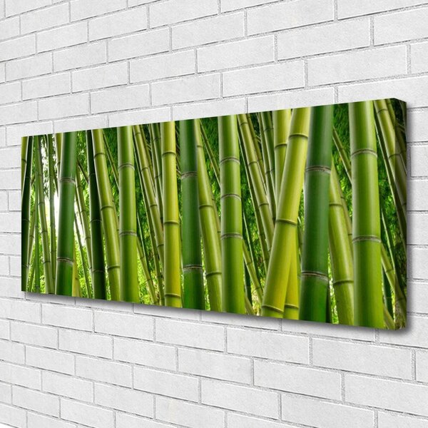 Obraz Canvas Bambusový les bambusové výhonky 125x50 cm