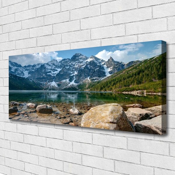 Obraz Canvas Hory les jazero kamene 125x50 cm