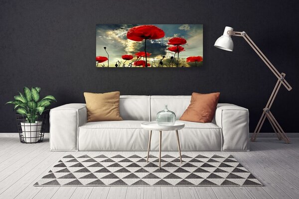 Obraz Canvas Maky kvety príroda 125x50 cm