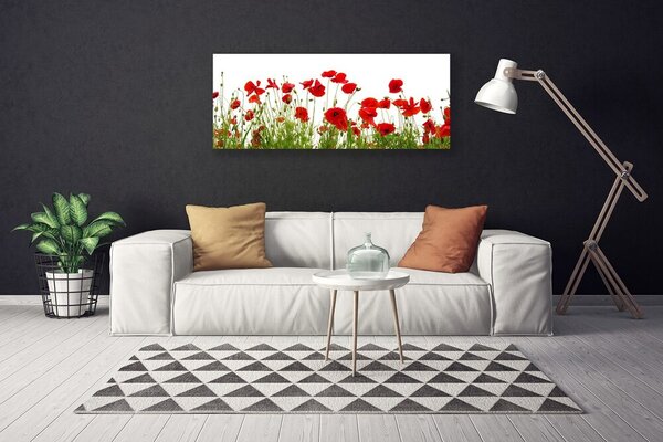 Obraz Canvas Maky kvety príroda 125x50 cm