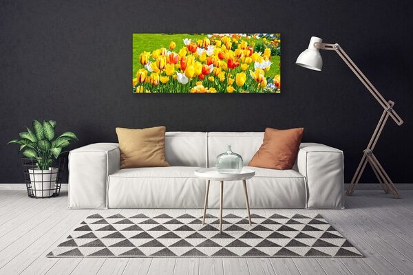 Obraz Canvas Tulipány kvety príroda 125x50 cm
