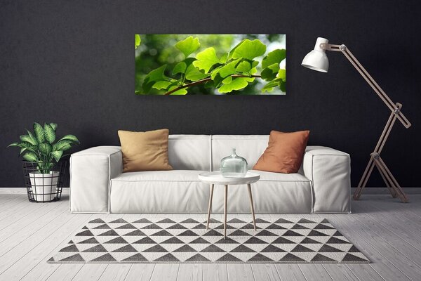 Obraz Canvas Vetvy listy príroda strom 125x50 cm