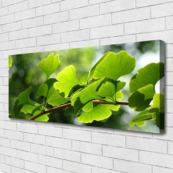 Obraz Canvas Vetvy listy príroda strom 125x50 cm