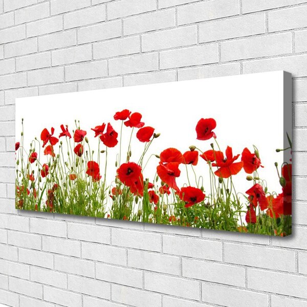 Obraz Canvas Maky kvety príroda 125x50 cm