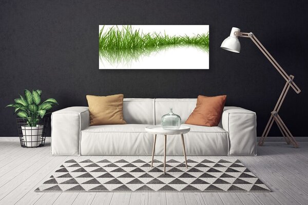 Obraz Canvas Tráva príroda rastlina 125x50 cm