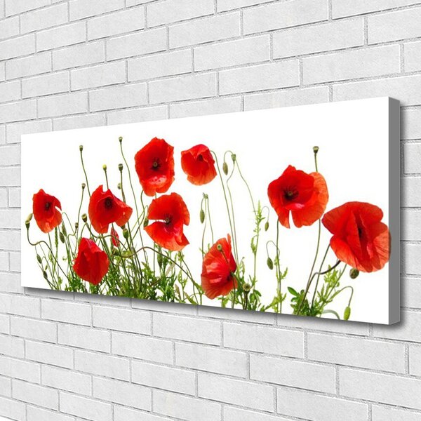 Obraz Canvas Maky kvety príroda 125x50 cm