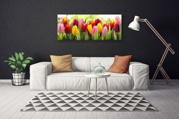 Obraz Canvas Tulipány kvety príroda 125x50 cm