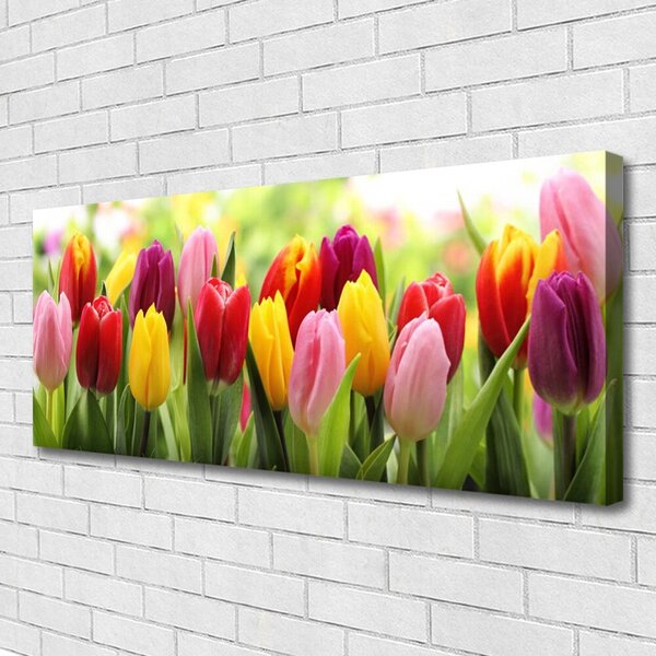 Obraz Canvas Tulipány kvety príroda 125x50 cm