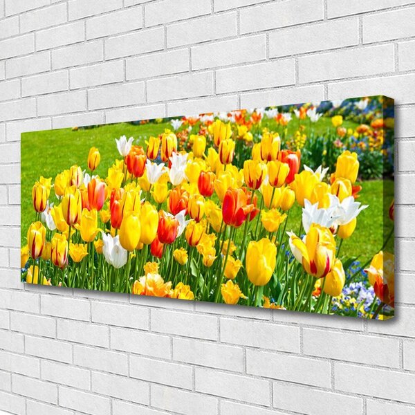 Obraz Canvas Tulipány kvety príroda 125x50 cm