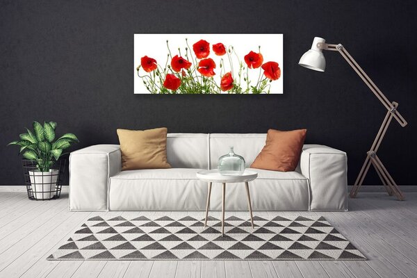 Obraz Canvas Maky kvety príroda 125x50 cm