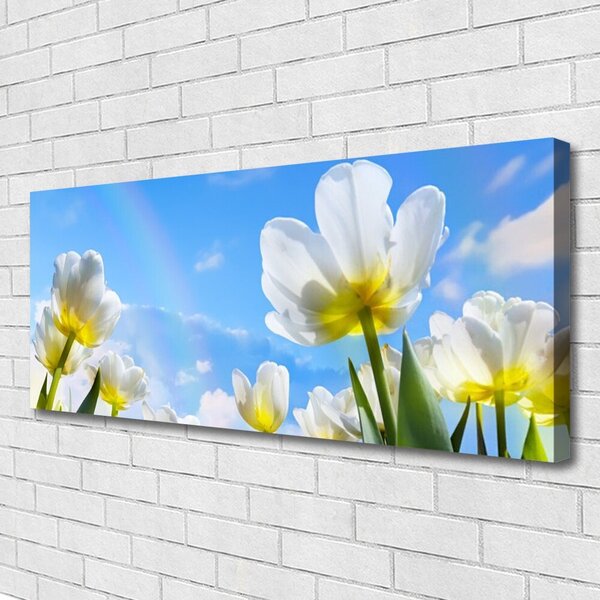 Obraz Canvas Rastliny kvety tulipány 125x50 cm