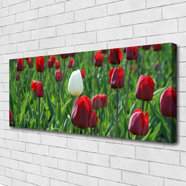 Obraz Canvas Tulipány kvety príroda 125x50 cm