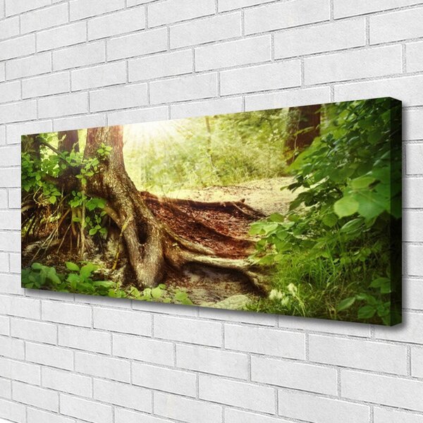 Obraz Canvas Strom kmeň príroda les 125x50 cm