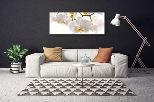 Obraz Canvas Orchidea kvety príroda 125x50 cm