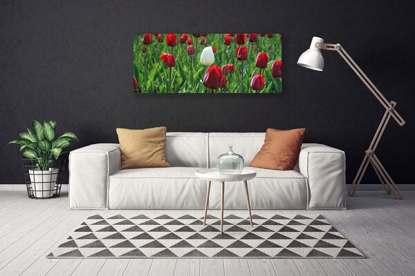 Obraz Canvas Tulipány kvety príroda 125x50 cm