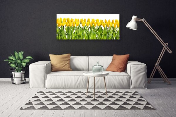 Obraz Canvas Tulipány kvety príroda 125x50 cm
