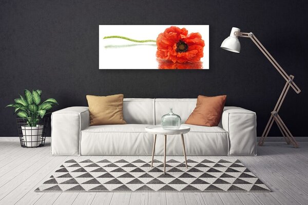 Obraz Canvas Kvety príroda 125x50 cm