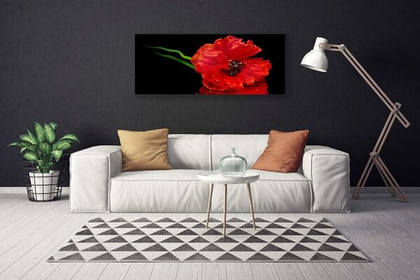 Obraz Canvas Kvet mak rastlina príroda 125x50 cm