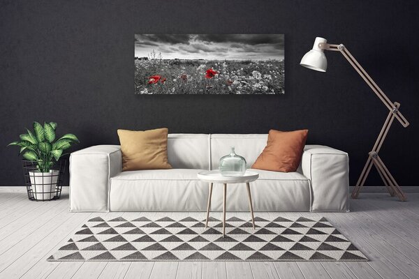 Obraz Canvas Lúka kvety príroda 125x50 cm