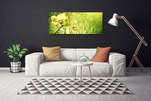 Obraz Canvas Tráva príroda rastlina 125x50 cm