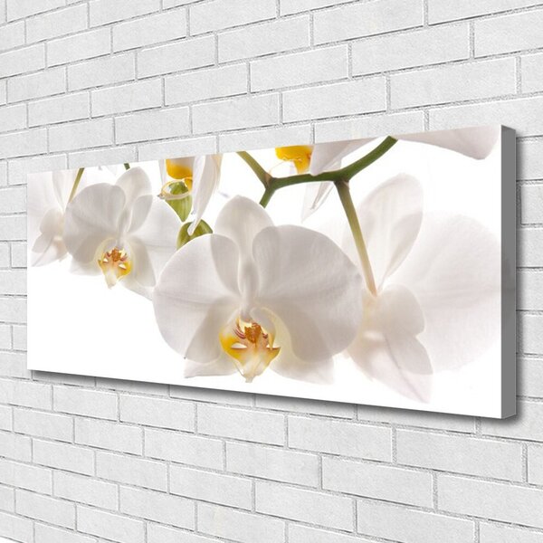 Obraz Canvas Orchidea kvety príroda 125x50 cm