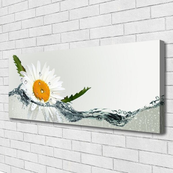 Obraz Canvas Sedmokráska vo vode 125x50 cm