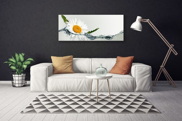 Obraz Canvas Sedmokráska vo vode 125x50 cm