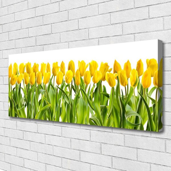 Obraz Canvas Tulipány kvety príroda 125x50 cm