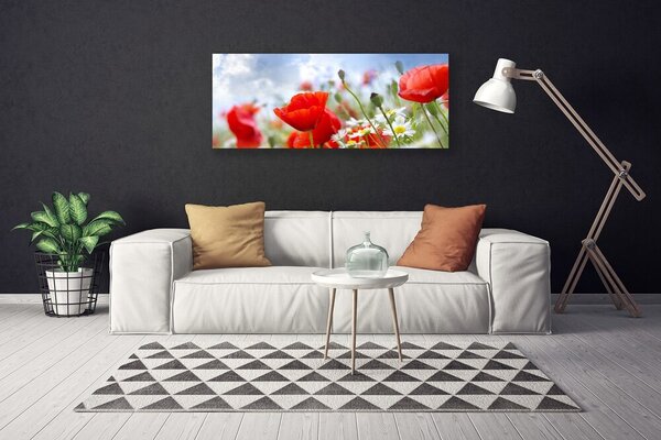 Obraz Canvas Maky sedmokrásky kvety 125x50 cm