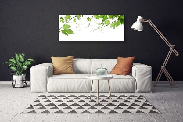 Obraz Canvas Vetvy listy príroda kvety 125x50 cm