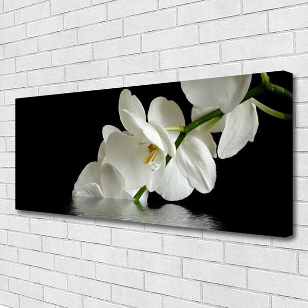 Obraz Canvas Orchidea vo vode kvety 125x50 cm