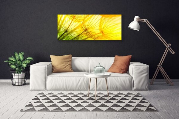 Obraz Canvas Púpavy kvety príroda 125x50 cm