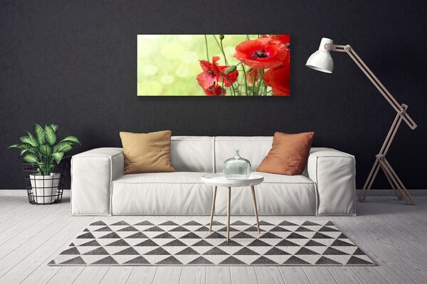 Obraz Canvas Maky kvety príroda 125x50 cm